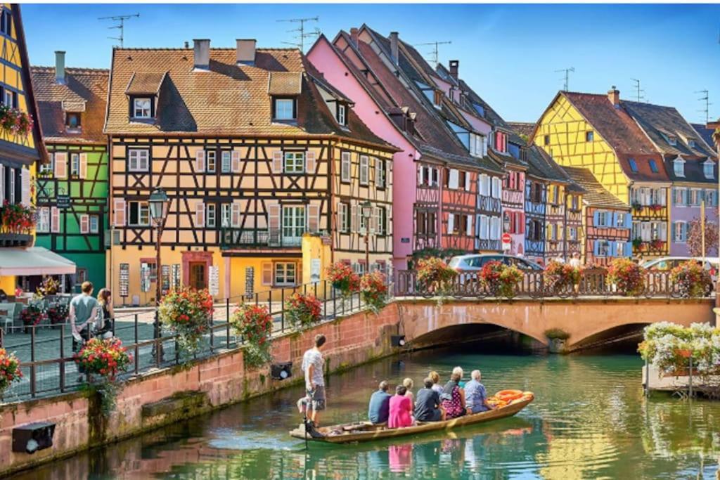 Appartamento Colmar Centre - Le Schickele Esterno foto