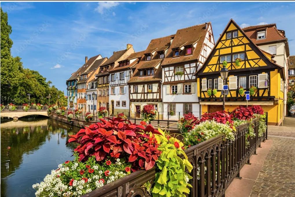 Appartamento Colmar Centre - Le Schickele Esterno foto